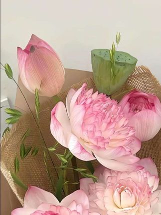 #杜克和一哥 #杜克环游世界 #孟加拉的故事 #交换世界计划