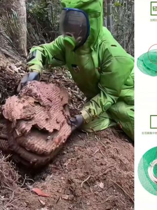 马蜂诱捕笼灭蝇抓胡蜂捕捉器,悬挂式捕蝇网养殖场诱捕器#马蜂诱捕笼#三农养殖