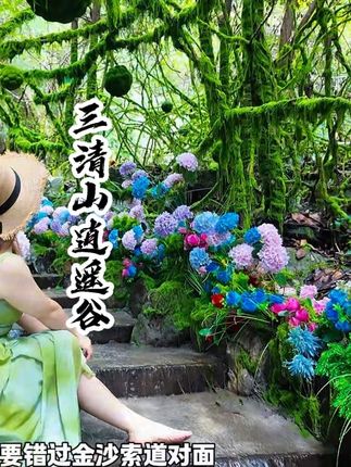 三清山的绿野仙踪,你来过吗? #绿野仙踪#上饶亲子游#国庆出游宝藏地等