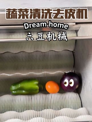 生姜去皮机#生蚝清洗机#莲藕清洗机