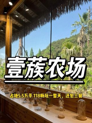 卖爆了!直接冲!#肯德基 #肯德基宅急送 #肯德基新品