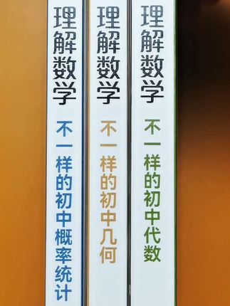 #人大附中 #理解数学 #不一样的初中数学 #如何学好初中数学 #初中数学学习方法