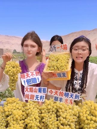 甄小鲜【顺丰隔日达】新疆吐鲁番火焰山无核白葡萄1/5斤应季水果#优质农产品 #太好吃了 #优质水果 #口感非常好 #葡萄熟了