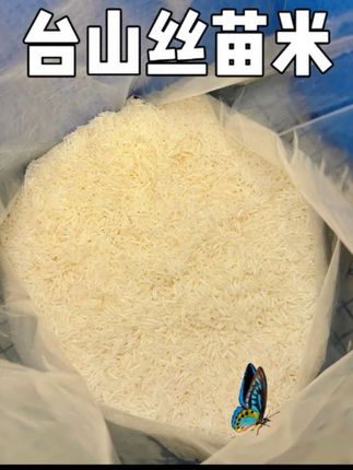 #【实惠之选】珍香三品飘香米10斤真空包装丝苗米正宗台山大米煲仔饭#视频同款