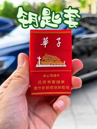 这么有排面的汽车钥匙套,快艾特你的好兄弟给你安排一个#汽车钥匙保护套 #好物推荐🔥