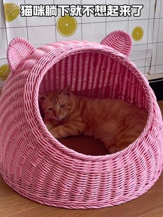 猫咪夏天避暑的猫窝来了,这个夏天又可以凉爽的度过啦#猫窝 #萌宠好物 #宠物凉席窝