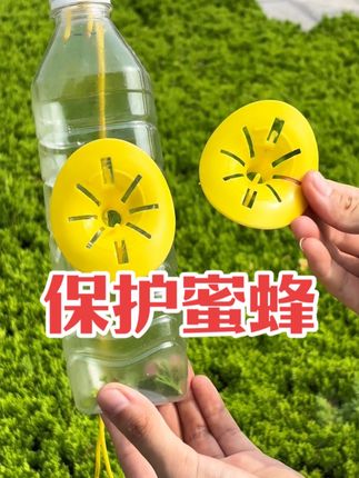九块九十个的诱捕器,挂几个在蜂场周围,给马蜂设下陷阱让马蜂有来无回,保护蜜蜂#诱捕器 #户外抓蜂 #马蜂诱捕器 #马蜂诱捕神器 #马蜂