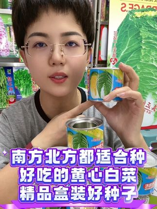#黄心大白菜种子 #秋季种菜 #能腌菜能冬储 #源头实力厂家 #良心推荐