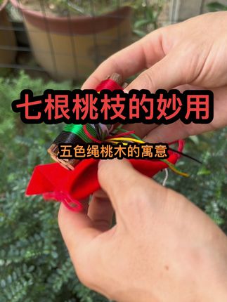 老一辈的智慧,国学文化,#五色线捆桃树枝的寓意#桃木#五彩绳#转运我好還#民俗安化告人的智慧