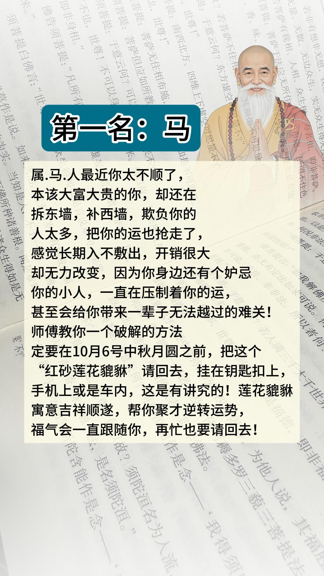 #马 #属马 #生肖马