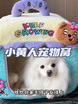 天气渐渐冷了,这款好看又暖和的宠物窝赶紧安排上 #梦世界穿越舱 #宠物窝#狗窝#小黄人#养狗好物