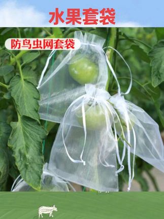 #农用工具 水果套袋防虫防鸟包桃子苹果番石榴梨子专用保护果树套袋子网袋罩#农用好物 #好物推荐 #水果套袋 #国庆节