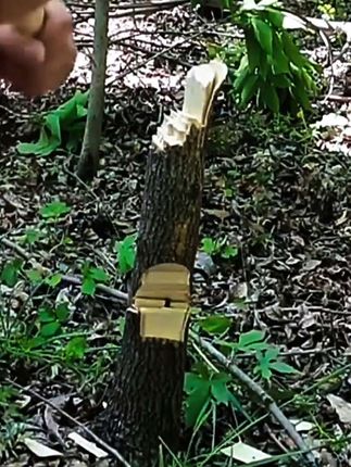 砍柴刀劈柴伐木刀户外专用锰钢柴刀特殊钢弯刀高硬度开山砍树神器#砍柴刀 #砍柴刀户外锰钢 #内容启发搜索