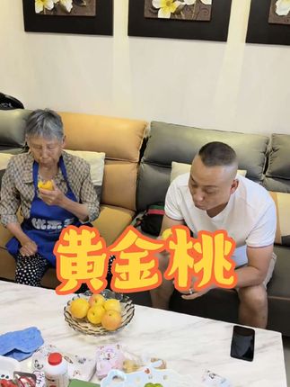 现摘新鲜山东黄金油桃,好甜呦!