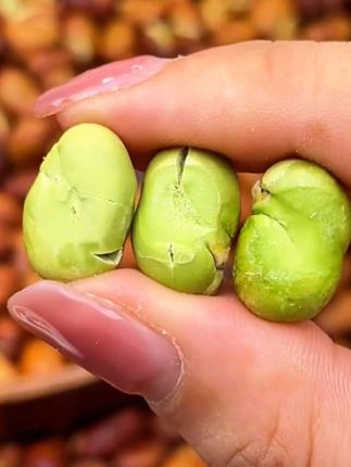 这是农家铁锅柴火烘炒的绿心蚕豆,颗粒饱满,一口一个嘎嘣脆,越吃越香!喜欢吃蚕豆的可以试试!#蚕豆 #干炒蚕豆炒货 #炒货 #粒粒精选颗颗饱满 #手工美食