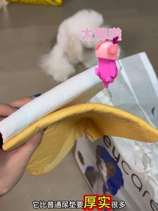 趁着现在活动划算赶紧囤起来吧#好命家尿垫 #萌宠好物 #新手养狗 #宠物尿垫推荐