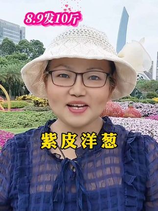 #洋葱 #现挖现发新鲜洋葱#紫皮洋葱#水果洋葱 #好吃到停不下来