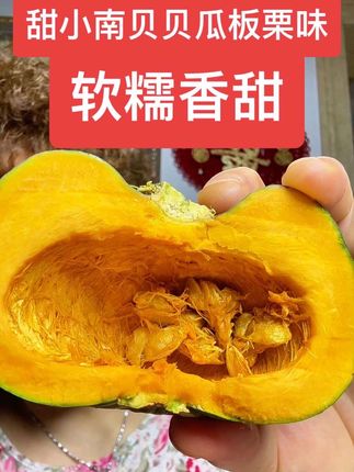 甜小南贝贝瓜。板栗味,软糯香甜 #贝贝瓜 #强烈推荐 #好吃到停不下来 #太好吃了 #上热搜