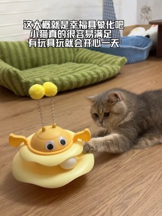 小猫真的很容易满足 有玩具玩就会开心一天#猫玩具 #萌宠出道计划 #萌宠好物 #逗猫神器 #新手养猫