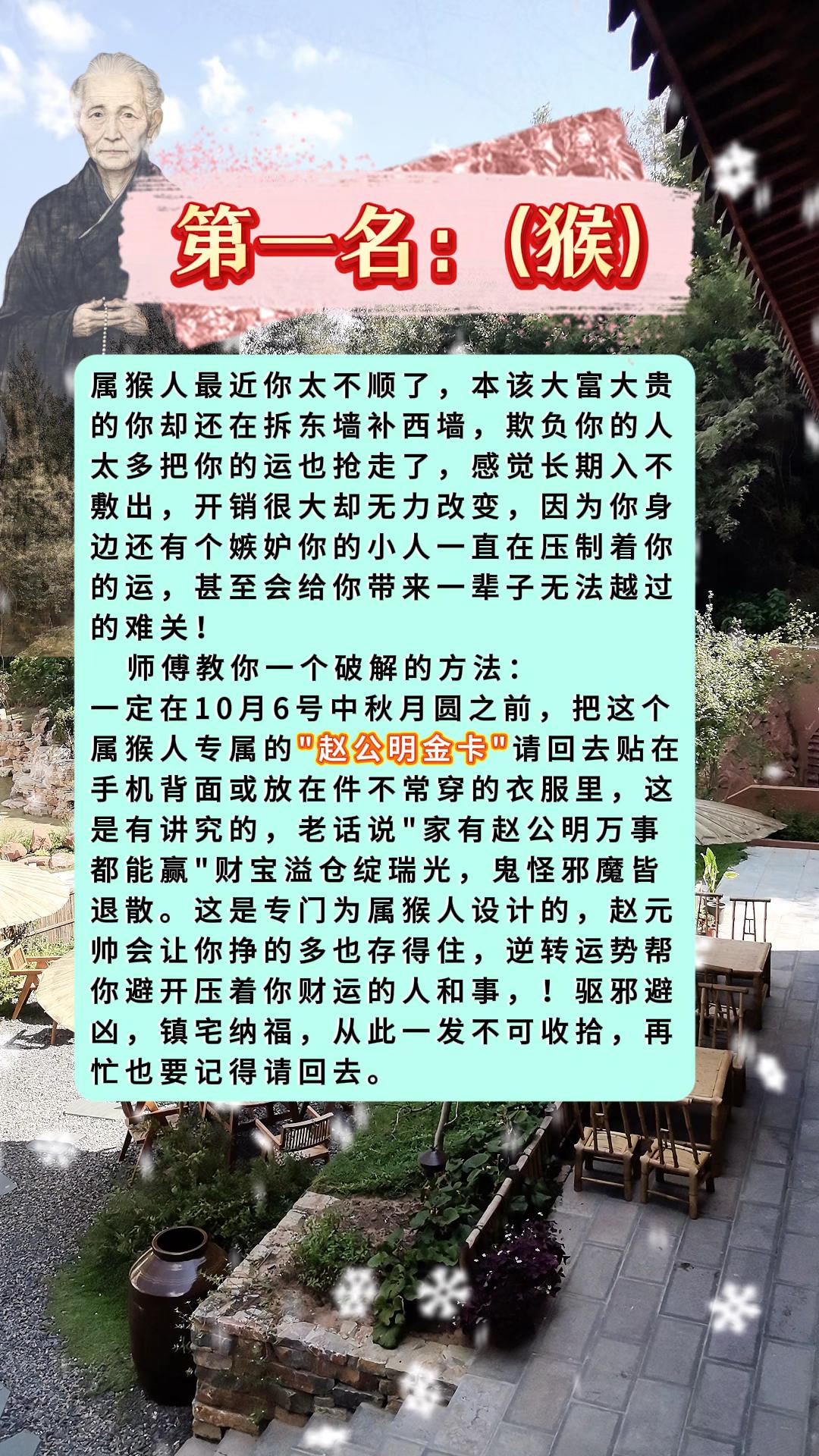#猴 #属猴 #生肖猴