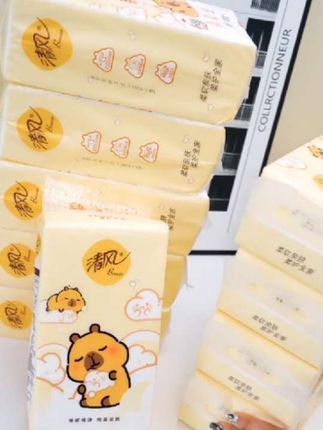 清风挂抽250抽10提整箱,4层加厚,卡皮巴拉款,家用超方便,囤货冲!#居家好物 #创作灵感 #清风挂抽纸