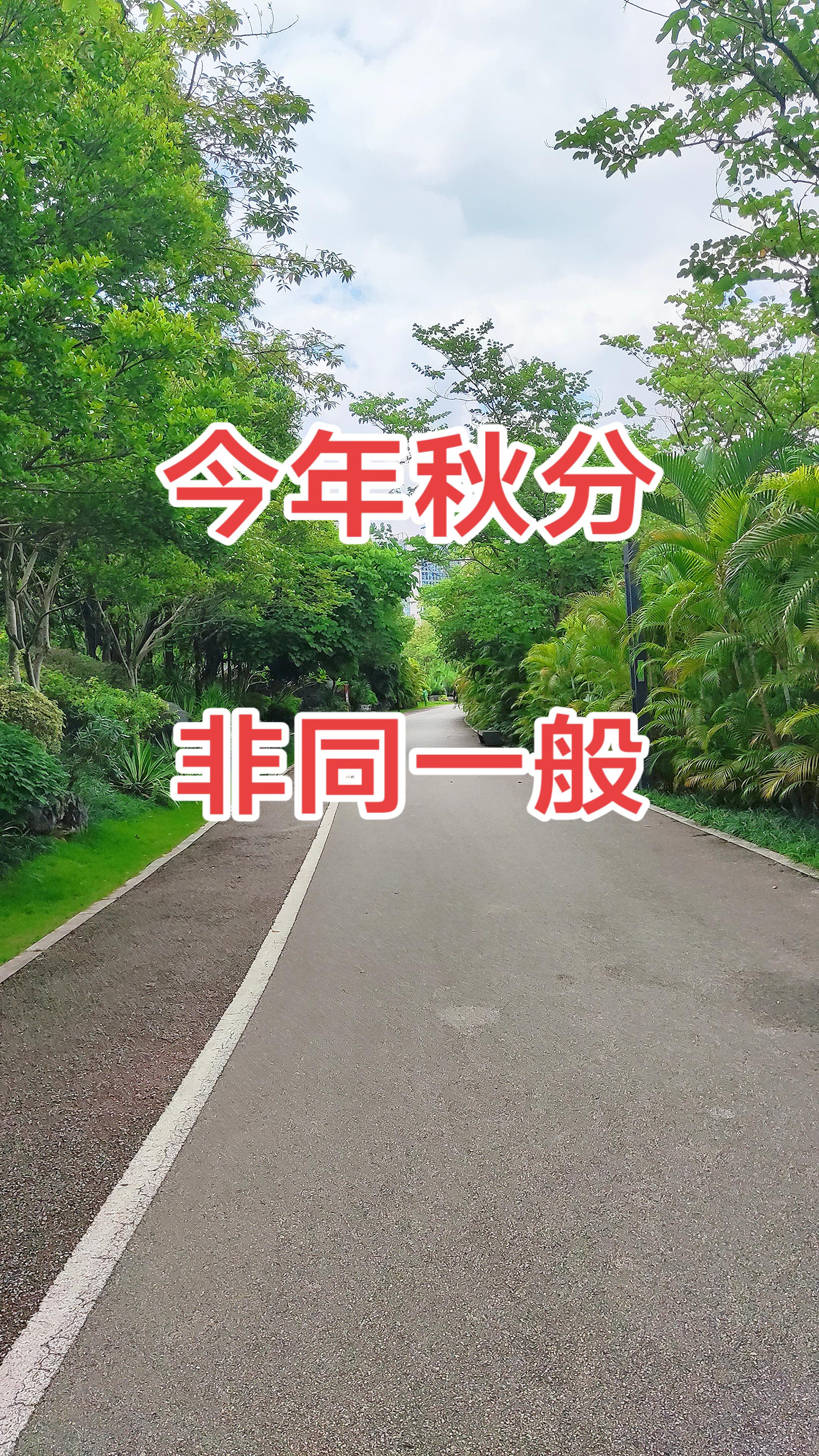 #旅行vlog #沿途风景随拍 #随拍 #感受大自然的气息和美景 #后知后觉又过了一个秋