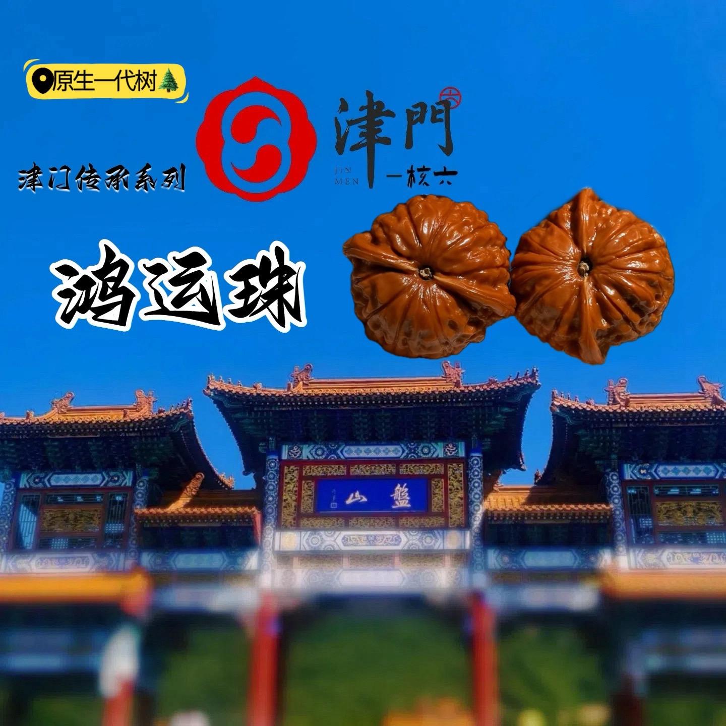 原生鸿运珠文玩核桃。鸿运珠文玩核桃的特征如下: 1. 产地与历史 主要产地石家庄刘成功家原生一代树🌲 2. 外观特征• 形状:典型矮壮、大肚、圆形气门,纹路细腻均匀,粗棱子等独特纹理1 • 尺寸:体型较小但分量感强,碰撞声清脆如石子 3. 皮质与密度• 皮质:红皮或蜡红皮,后期易呈现玛瑙红色泽,缝线细密,无需打药或夹 • 骨质:瓷实、密度高,手感压手,声音清脆不发空 4. 纹路与棱子 纹路类似磨盘或流水疙瘩纹,自然闷尖矮桩,出三棱概率高,两棱更显美观 5. 盘玩特性 皮质优良,上色快且后期包浆效果佳,但需注意近年老树产量下降,盘玩者较少345。 以上特征综合了品种历史、外观细节及盘玩体验,适合追求小众精品的文玩爱好者参考。#鸿运珠文玩核桃 #津门传承