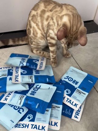 快看,孟加拉豹猫也掉毛 但是吃了这款猫粮后真的不掉了#孟加拉豹猫 #猫咪掉毛 #萌宠好物 #掉毛怪 #鲜粮说