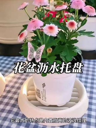 #居家好物 #花盆沥水托盘 #绿植养护 #爱生活爱养花 这可不是一般的花盆托盘,他特有的凹槽能抬高花盆底部,不像一般的平底托盘,容易积水,影响绿植的生长。花盆放上去不仅增强通风透气,平时水浇多了也不怕。而且他加厚的钢化树脂材质,结实耐用,底部还设计了响锐的图案,实用美观。寓意还好,花友们放心入手。这可不是一般的花盆托盘,他特有的凹槽能抬高花盆底部,不像一般的平底托盘,容易积水,影响绿植的生长。花盆放上去不仅增强通风透气,平时水浇多了也不怕。而且它加厚的钢化树脂材质,结实耐用,底部还设计了响锐的图案,实用美观。寓意还好,花友们放心入手。