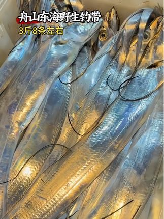 舟山野生海钓带鱼!遇上鲜家的精选高品质海钓带鱼!舟山原产地发货!有两种规格,(3-4两)是3斤装到手8条左右!(4-6两)3斤装到手6条左右!都是高品质的!#海鲜水产 #舟山海鲜 #舟山海钓带鱼 #野生带鱼 #舟山野生带鱼