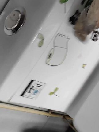 拍完了才看出来是横屏气死我了😬马桶洁厕灵19块9三瓶,每瓶都是500毫升的特别挂壁清洁力特别强,用完还香香的有需要的可以看看#跑船人