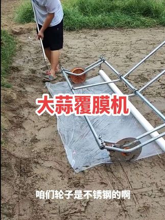 #农业种植 #抖音推广 #大蒜