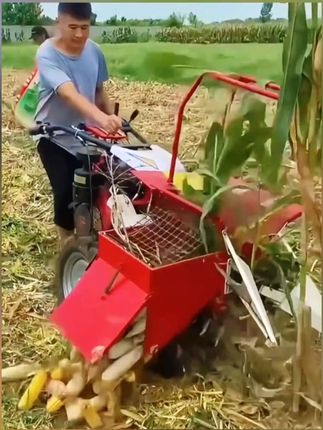 小型玉米收割机家用单行垄农用玉米收获机扒皮粉碎秸秆手扶收割台#玉米收获机  #玉米收获机收割机 #农业机械