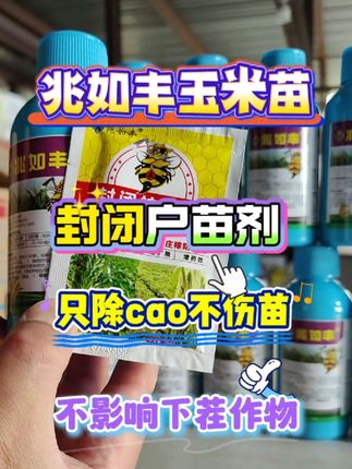 兆如丰玉米护苗剂,封闭式护苗,只除cao不伤苗,不影响下茬作物#农业种植#农作物种植#三农种植#三农种植好物分享#三农