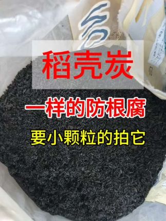 稻壳炭,小颗粒炭,防根腐,拌土用 #稻壳炭 #稻壳炭草木灰 #稻壳炭的作用 #稻壳炭养花好处多多