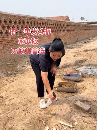 灭蚊蝇#灭蚊蝇 #蚊蝇的克星