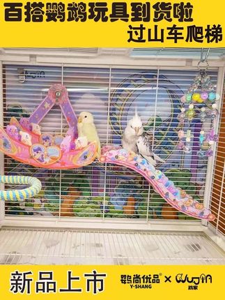 尖叫上新!鹉家过山车爬梯带你的鸟宝畅玩一整天 #鹦尚优品#新品上新#鸟笼布置#鹦鹉玩具 #鹦鹉过山车