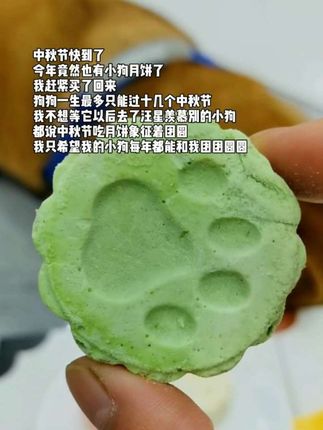 狗狗是宠物也是家人希望每年和我的狗狗中秋团团圆圆#养狗经验分享 #萌宠好物 #新手养狗 #中秋节 #宠物月饼