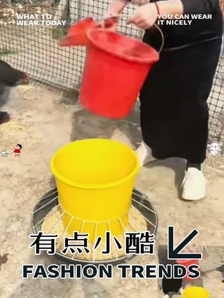 装一次料可以喂很多天家禽养殖必备神器#散养鸡 #喂鸡咯 #家禽养殖 #喂鸡神器 #养鹅