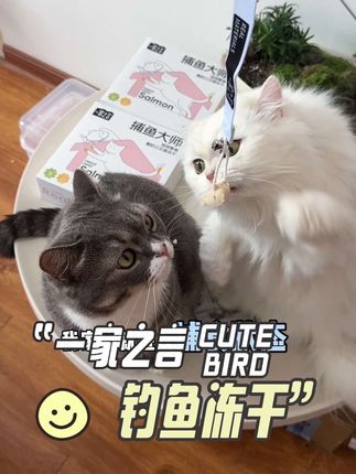 没想到冻干都能拿来钓小猫了,真的好吃又好玩呀!#一家之言钓鱼冻干#捕鱼大师逗猫神器 #猫咪玩具#萌宠好物 #养猫人