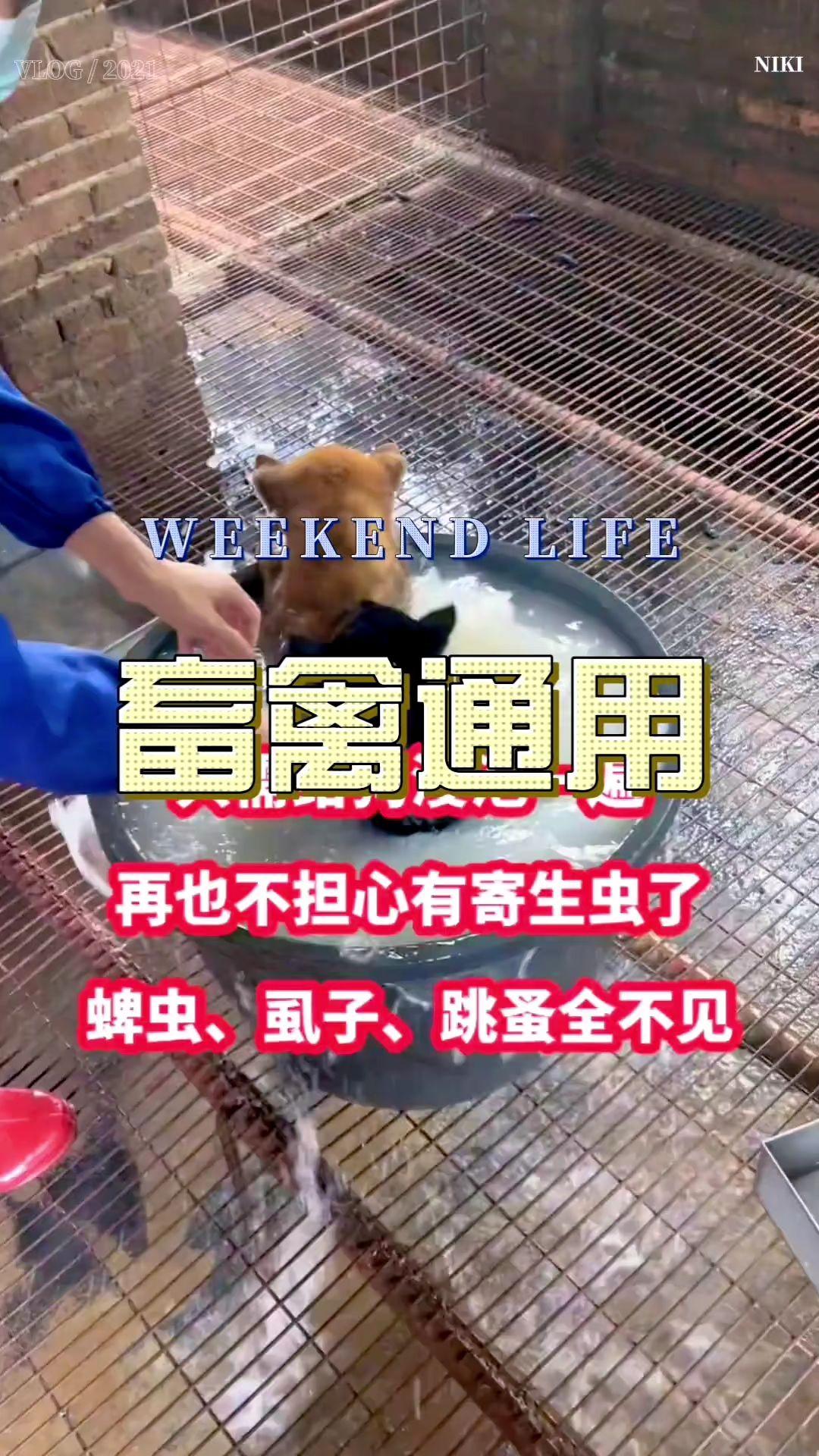 #吉隆坡的天气它是翻云又覆雨 #打火机