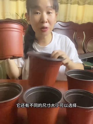 质量非常好的育苗植物花盆,好看,耐用,实惠#花盆 #植物花盆 #育苗花盆 #滤水花盆 #花盆推荐