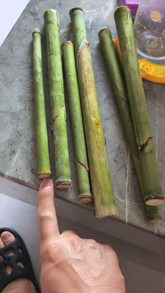 直播间说的很美好,现实很骨感,大家擦亮眼睛哈,看看这剥了皮还能吃什么?抖音这个平台呀,资源很广,质量很差!#我在抖音买买买