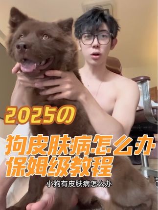 邪修狗皮肤病保姆级教程 #狗皮肤病 #土松