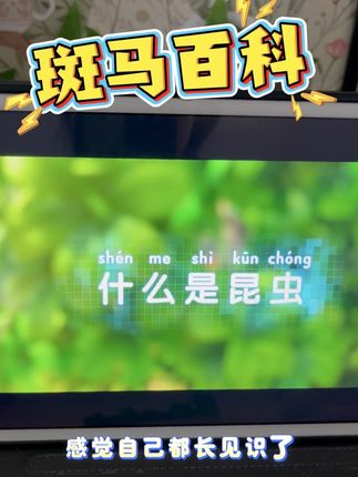 暑假到了,赶紧给孩子安排上这个#斑马百科昆虫,里面内容好看又好学#万万没想到 #强烈推荐 #斑马百科科普 #斑马百科海洋动物