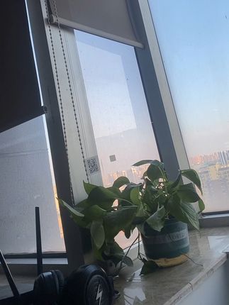 宿舍衣架家用衣挂袜子夹子晾衣架便携式晾晒衣服架可折叠#宿舍好物分享 #衣架收纳