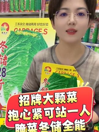 #种植 #大白菜种子 #冬储28斤大白菜种子 #每日分享 #三农