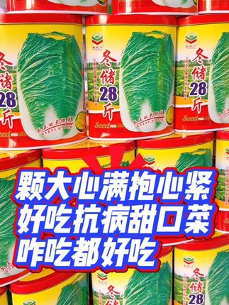 #我的菜园 #三农 #大白菜种植 #大白菜种子 #快来一起尝个鲜