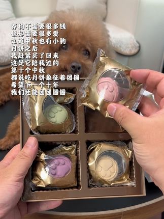 月饼象征着团圆,这是它陪我的第十个中秋,希望下一个十年我们也能团团圆圆#中秋节 #狗狗月饼 #月饼