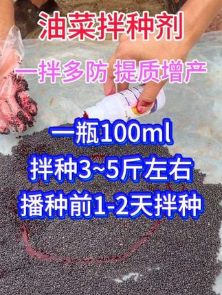 #油菜拌种剂 #一拌多防·提质增产